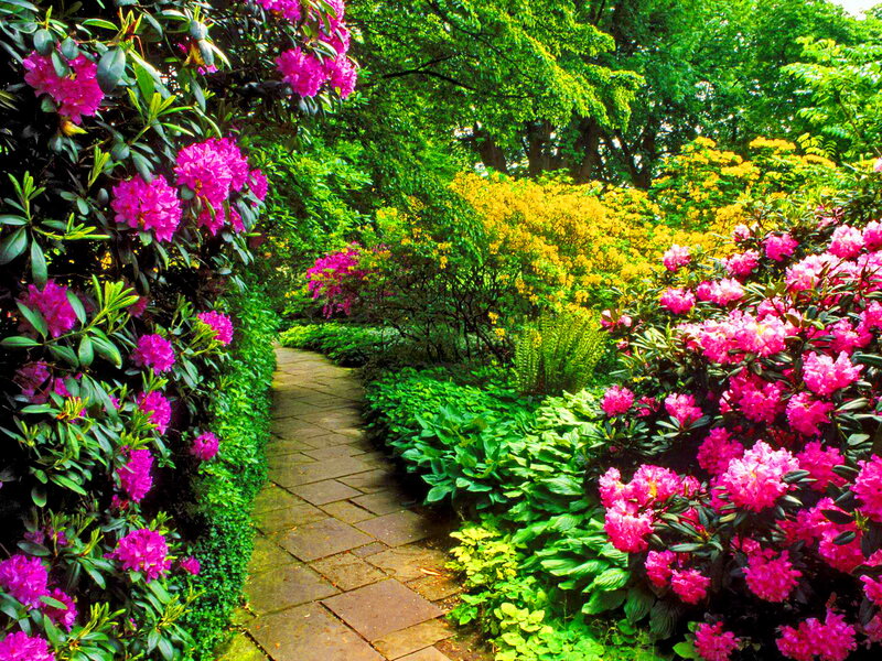 Flowering Garden Path — Green