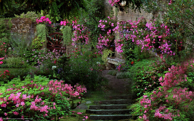 Flowering Garden Path — Pink