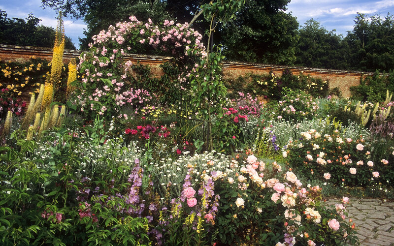 Flowering Garden — Pink