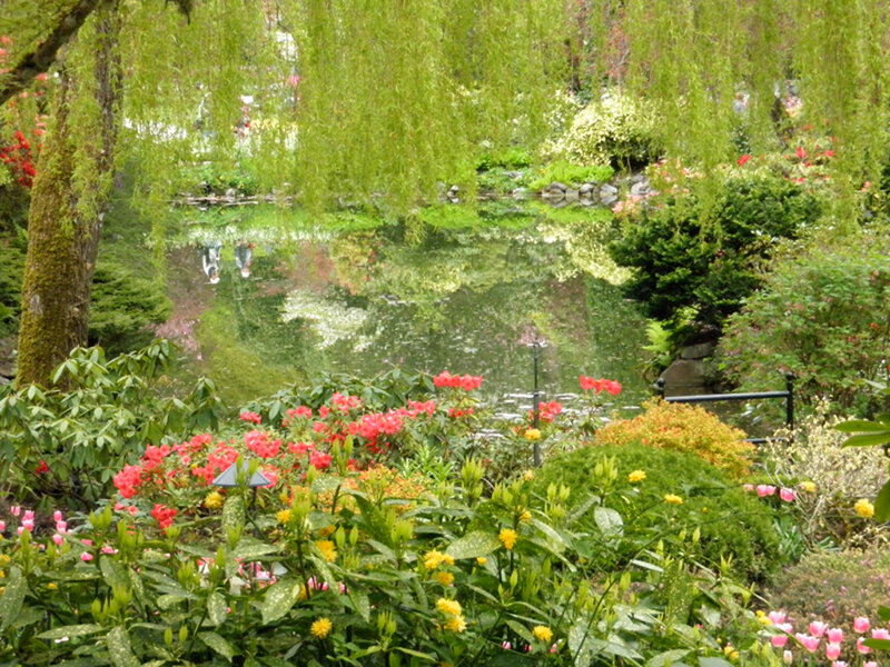 Flowering Garden Pond — Green