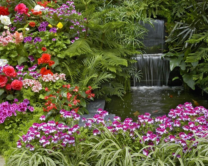 Flowering Garden with Waterfall