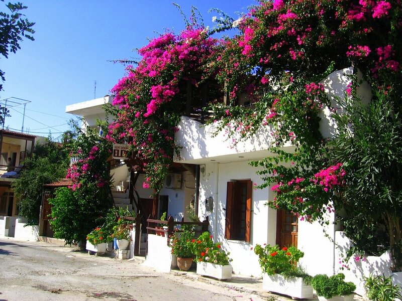 Flowering house in a Greek village