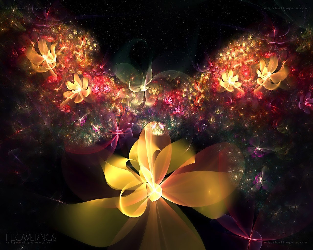 Flowering in the cosmos