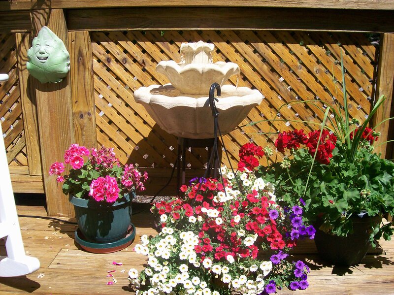 Flowering Plants and Fountain