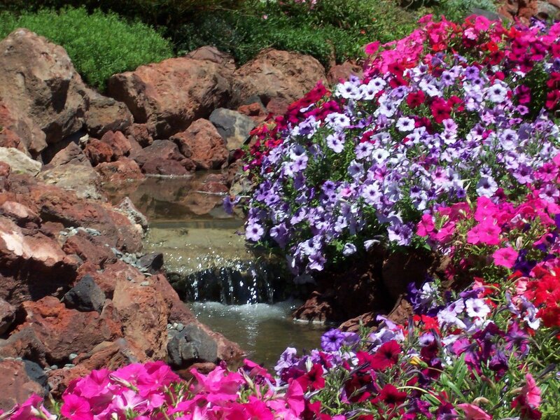 Flowering Plants by Stream