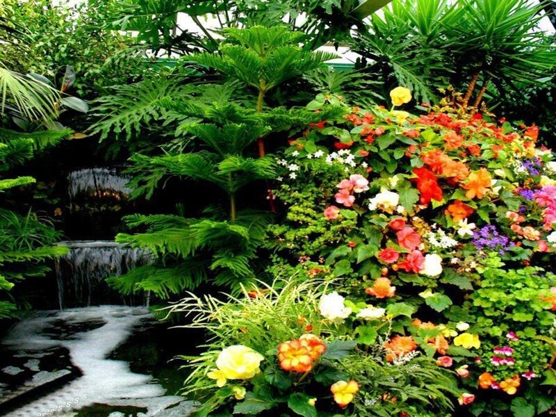 Flowering Plants by Waterfall