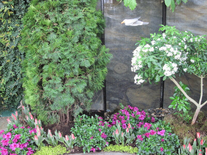 Flowering Plants in Garden — Green, Calm