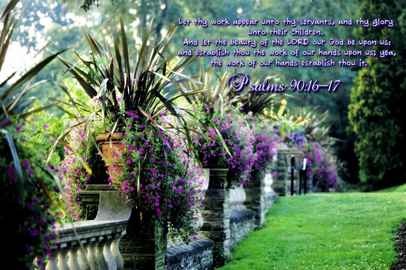 Flowering Plants in Garden — Green, Serene