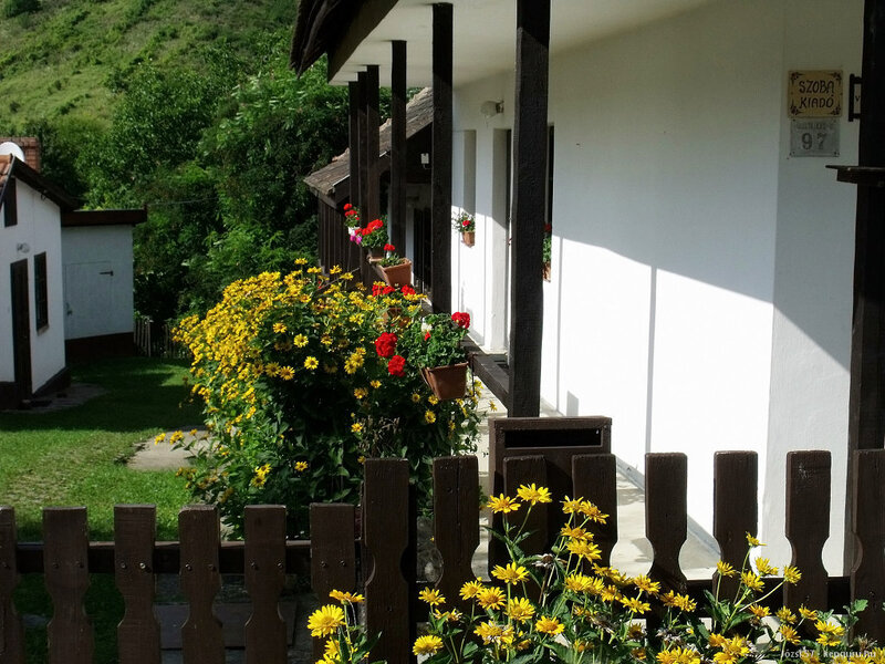 Flowering Plants on Porch