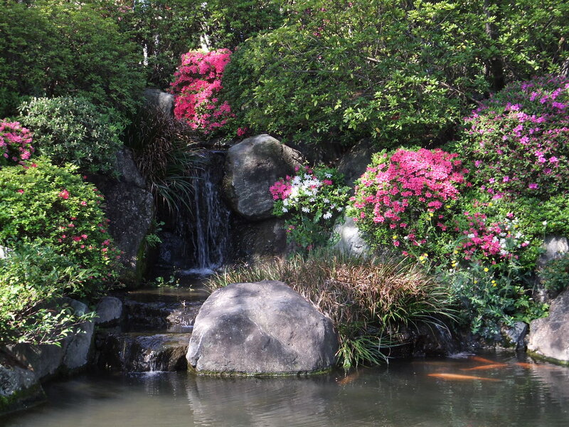 Flowering Shrubs by Waterfall