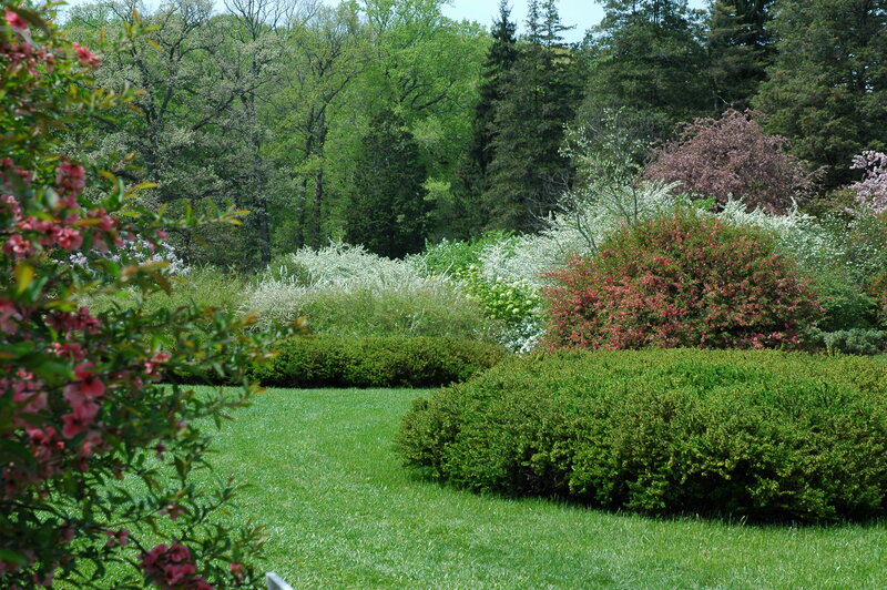 Flowering Shrubs in Garden — Green, Serene, Spring