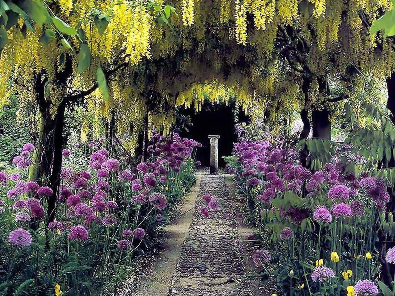 Flowering Tree Archway