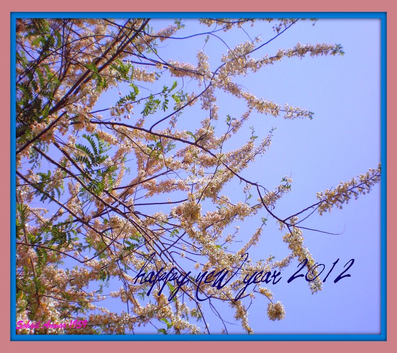 Flowering Tree Branches