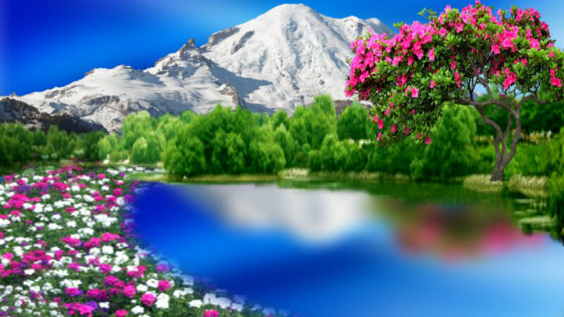 Flowering Tree by Lake — Blue