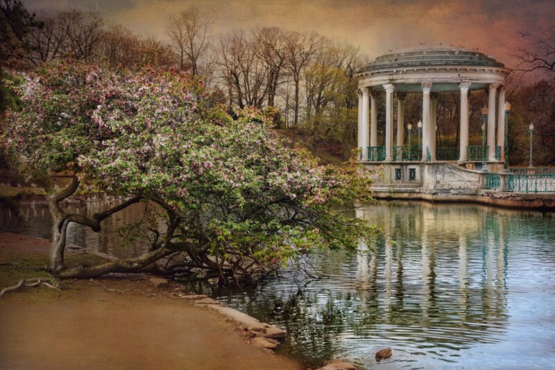 Flowering Tree by Pond
