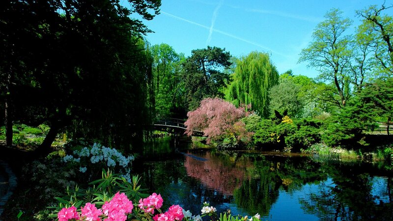 Flowering Trees by Pond — Green