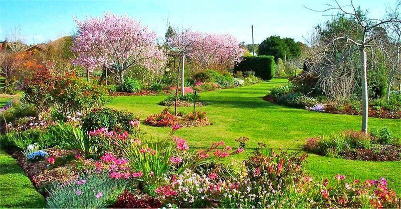 Flowering Trees in Garden — Green, Serene