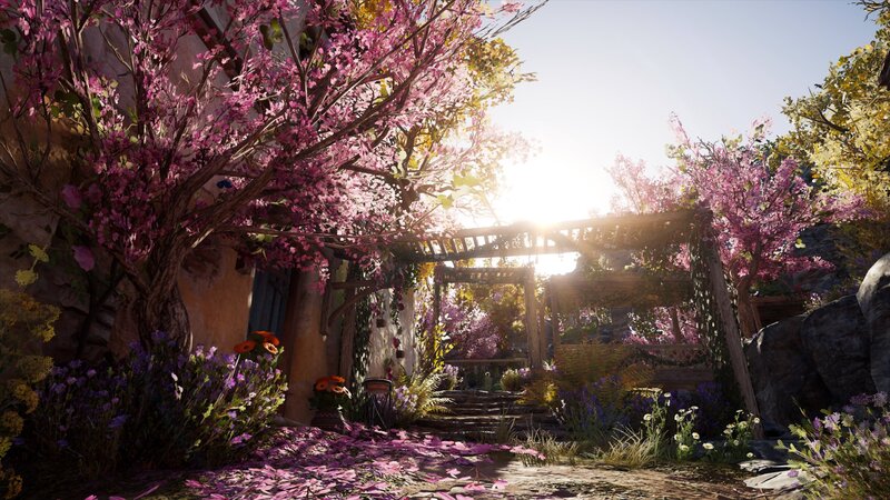 Flowering Trees in Garden — Pink
