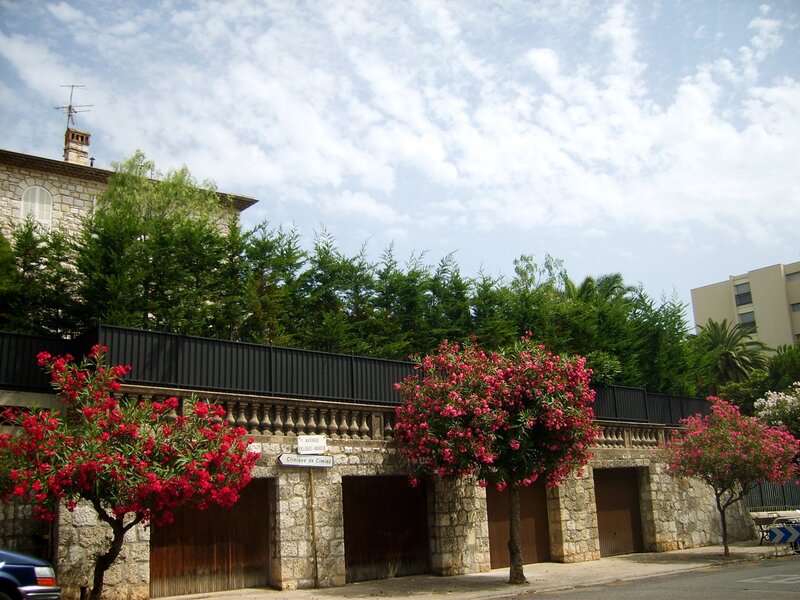 Flowering trees near stone garage
