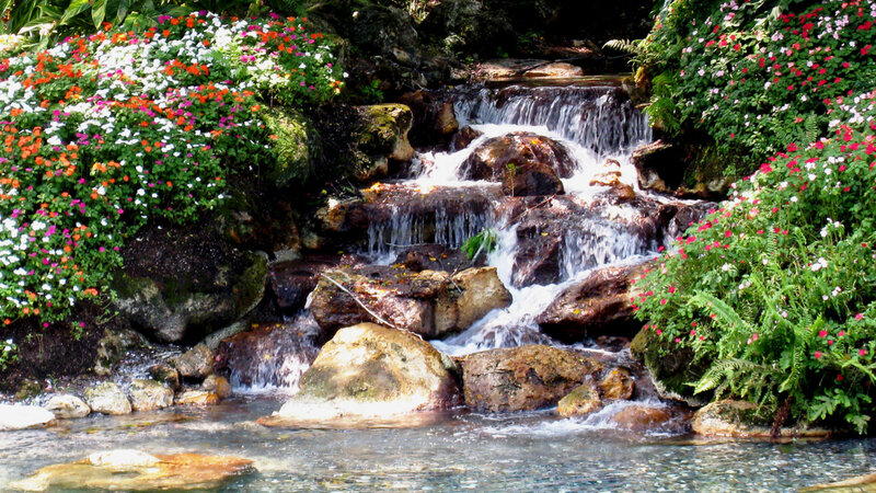 Flowering Waterfall