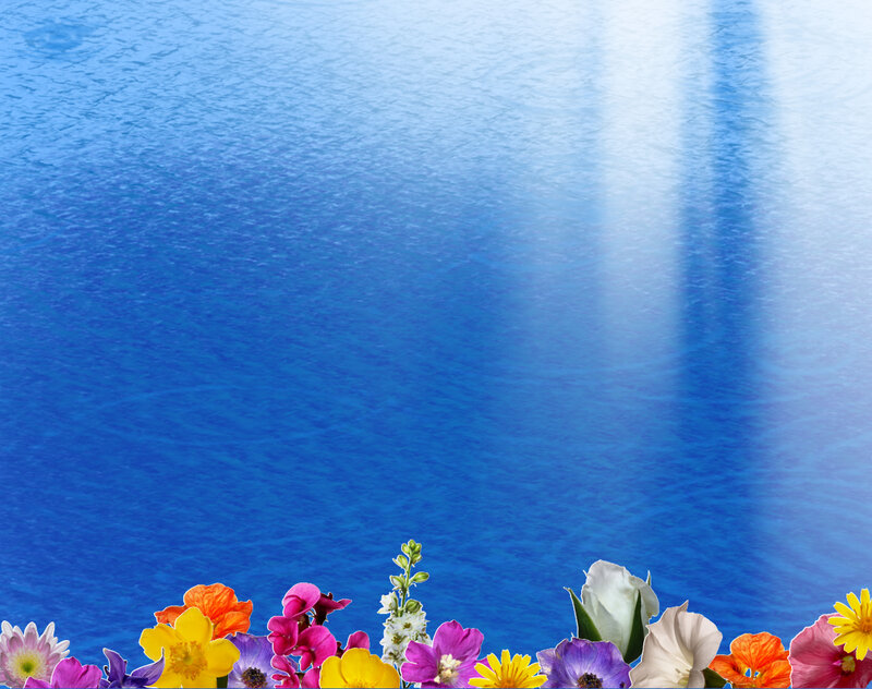 Flowers Along Water Edge
