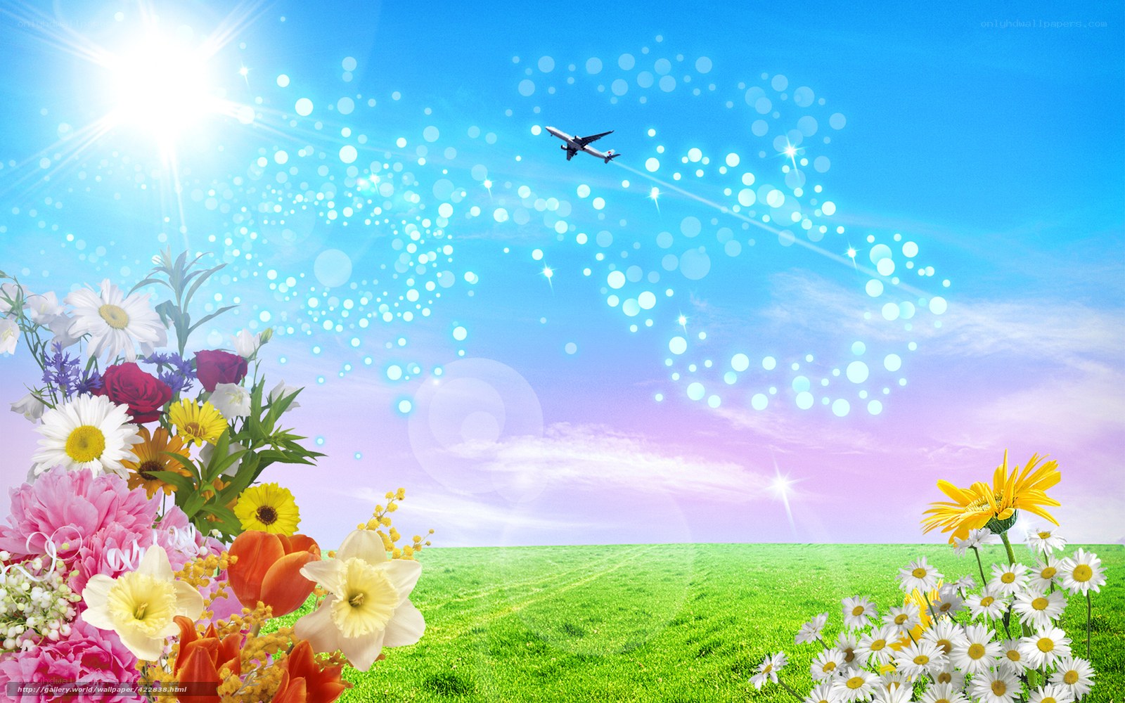 Flowers and airplane in sky