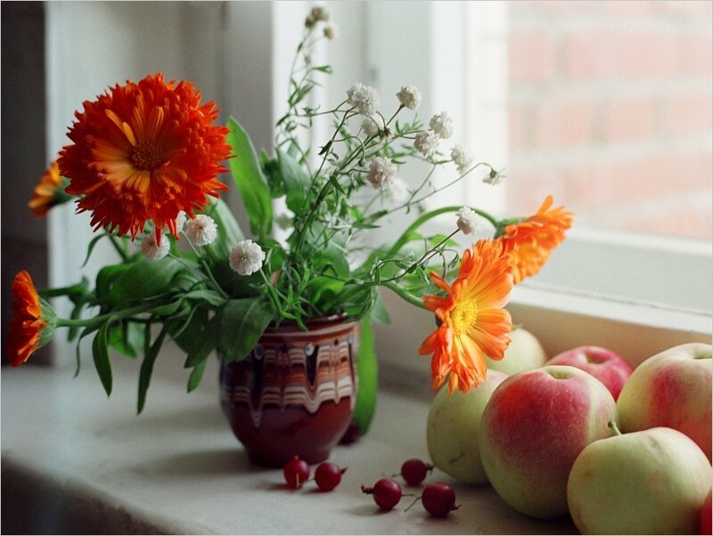 Flowers and apples on a windowsill