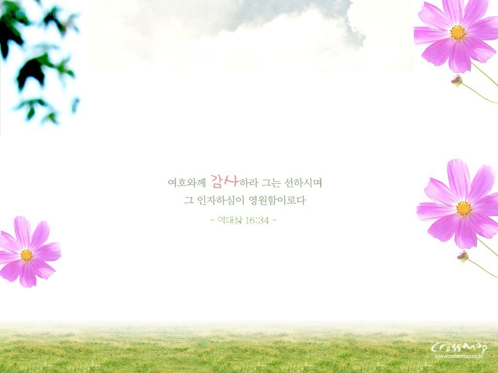 Flowers and Bible verse