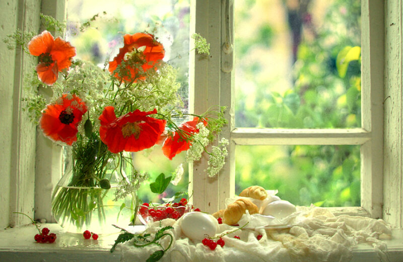 Flowers and breakfast by the window