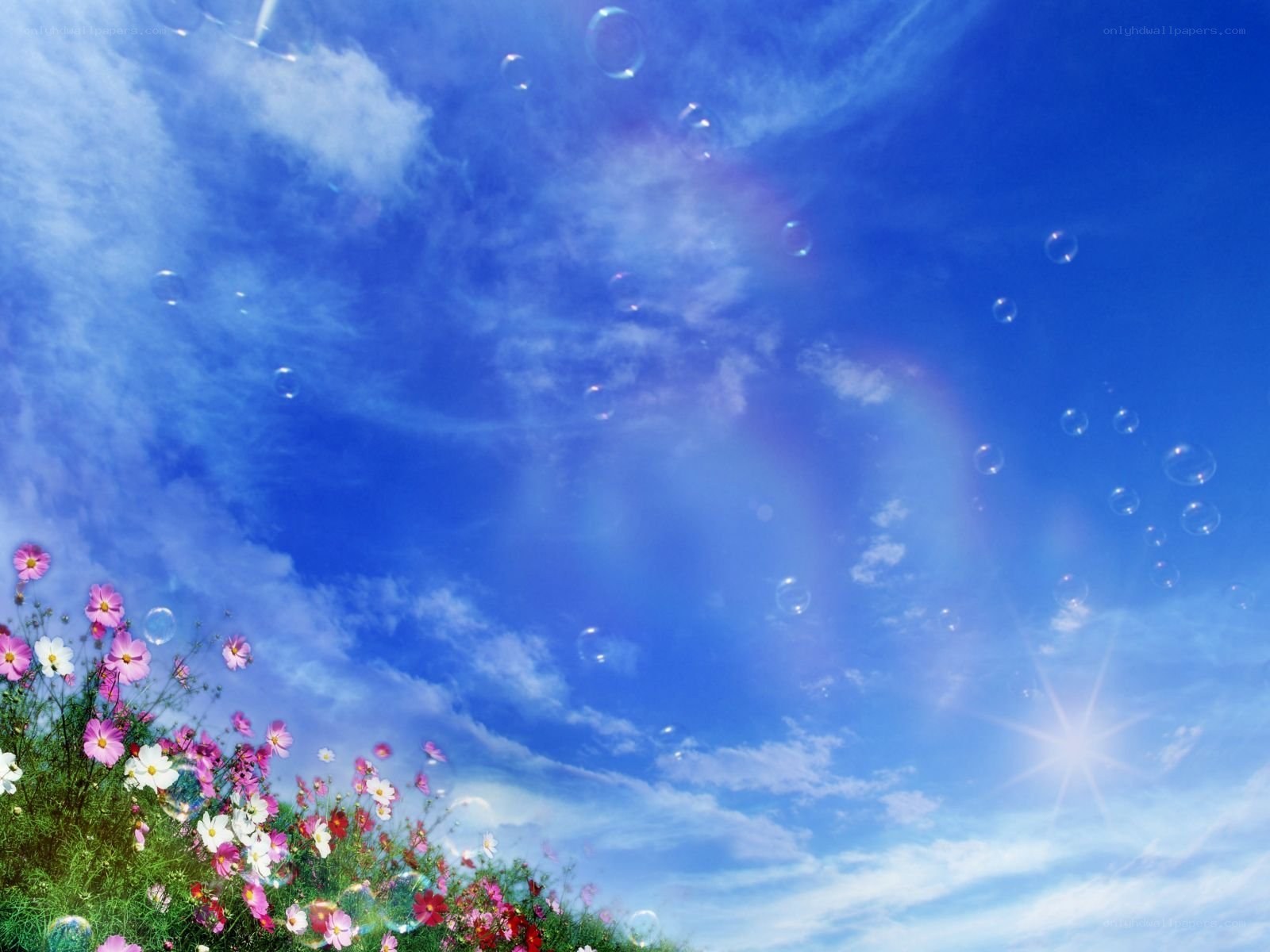 Flowers and bubbles in blue sky