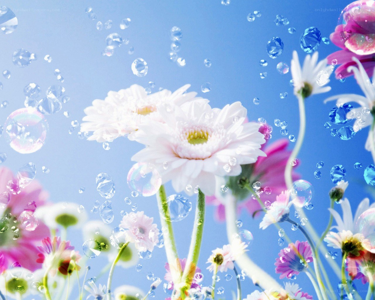 Flowers and bubbles in blue sky