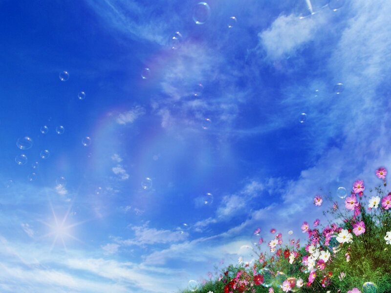 Flowers and Bubbles in Sky — Blue, Serene, Afternoon