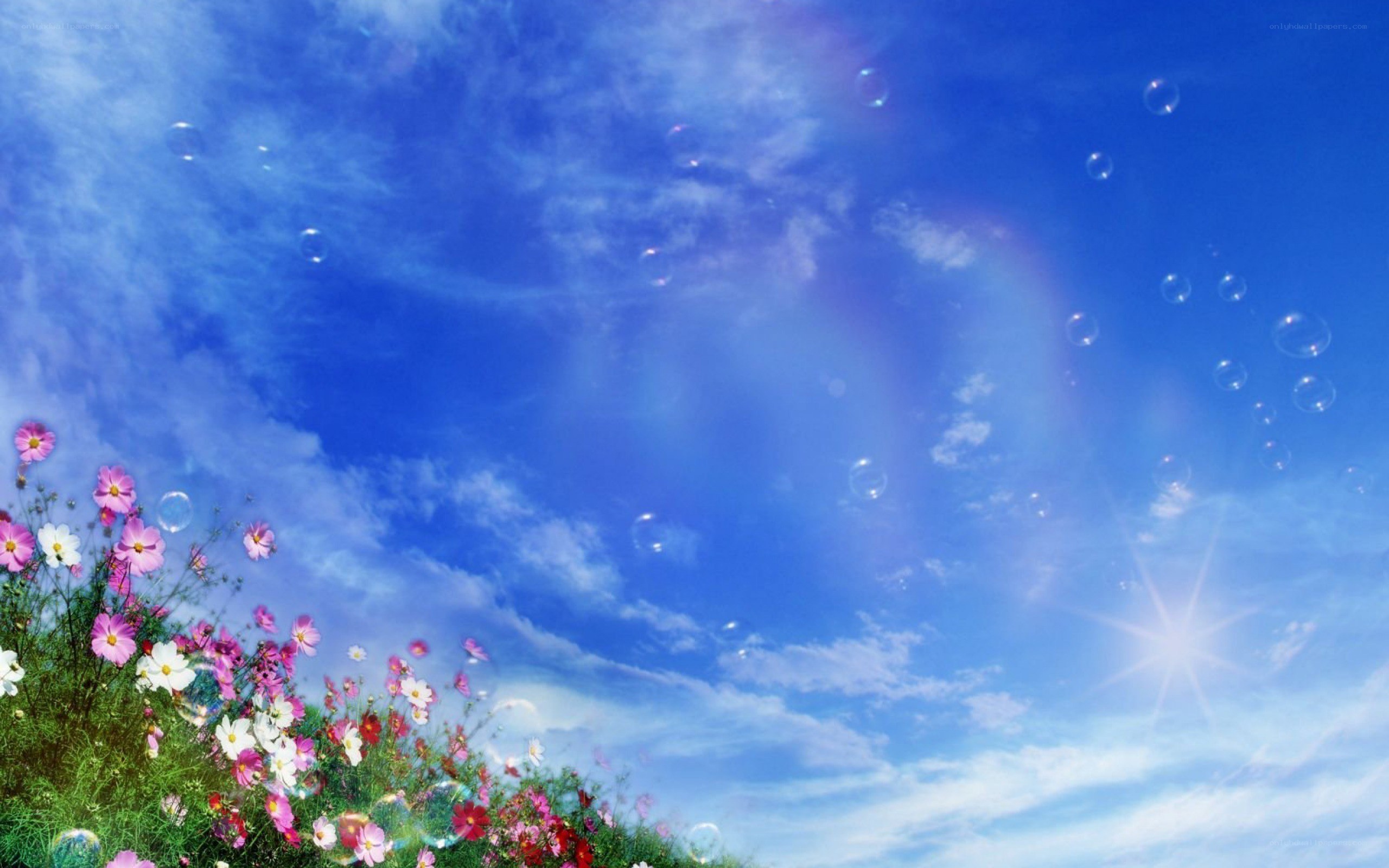Flowers and bubbles in the sky