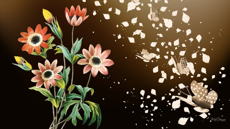 Flowers and Butterflies — Brown