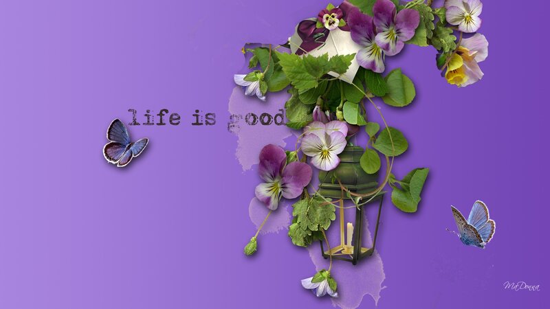 Flowers and Butterflies — Purple