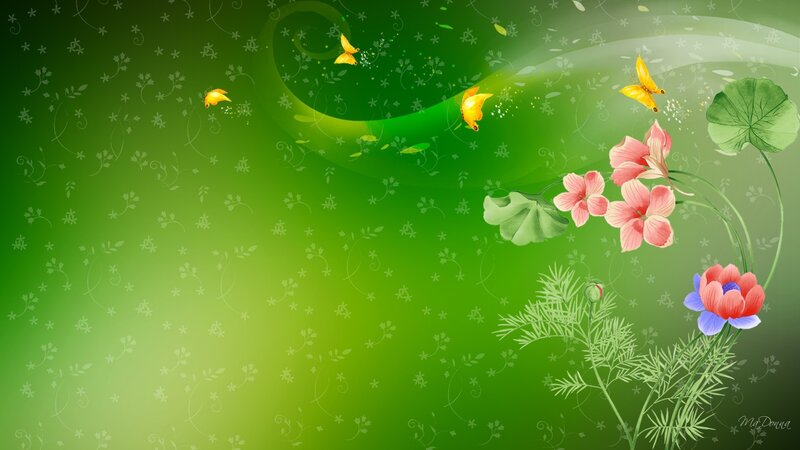 Flowers and Butterflies