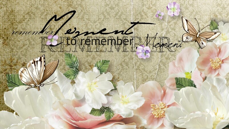Flowers and Butterflies — White