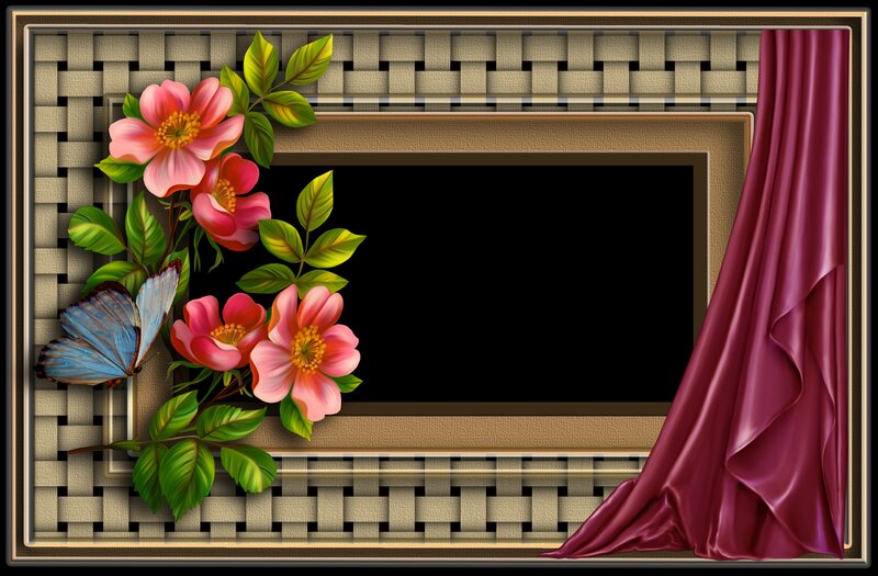 Flowers and Butterfly Frame