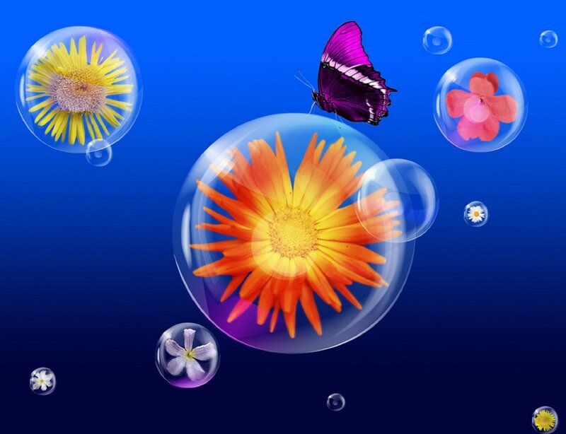 Flowers and Butterfly in Bubbles