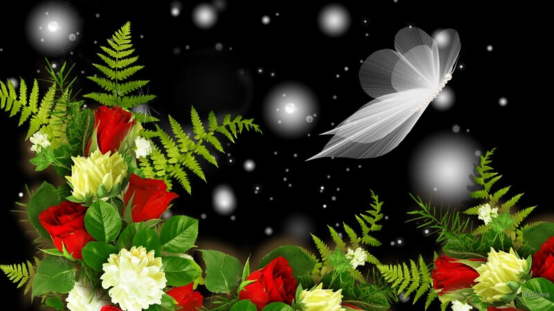 Flowers and Butterfly — Red
