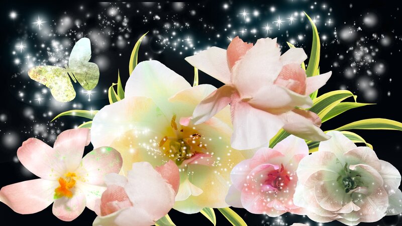 Flowers and Butterfly