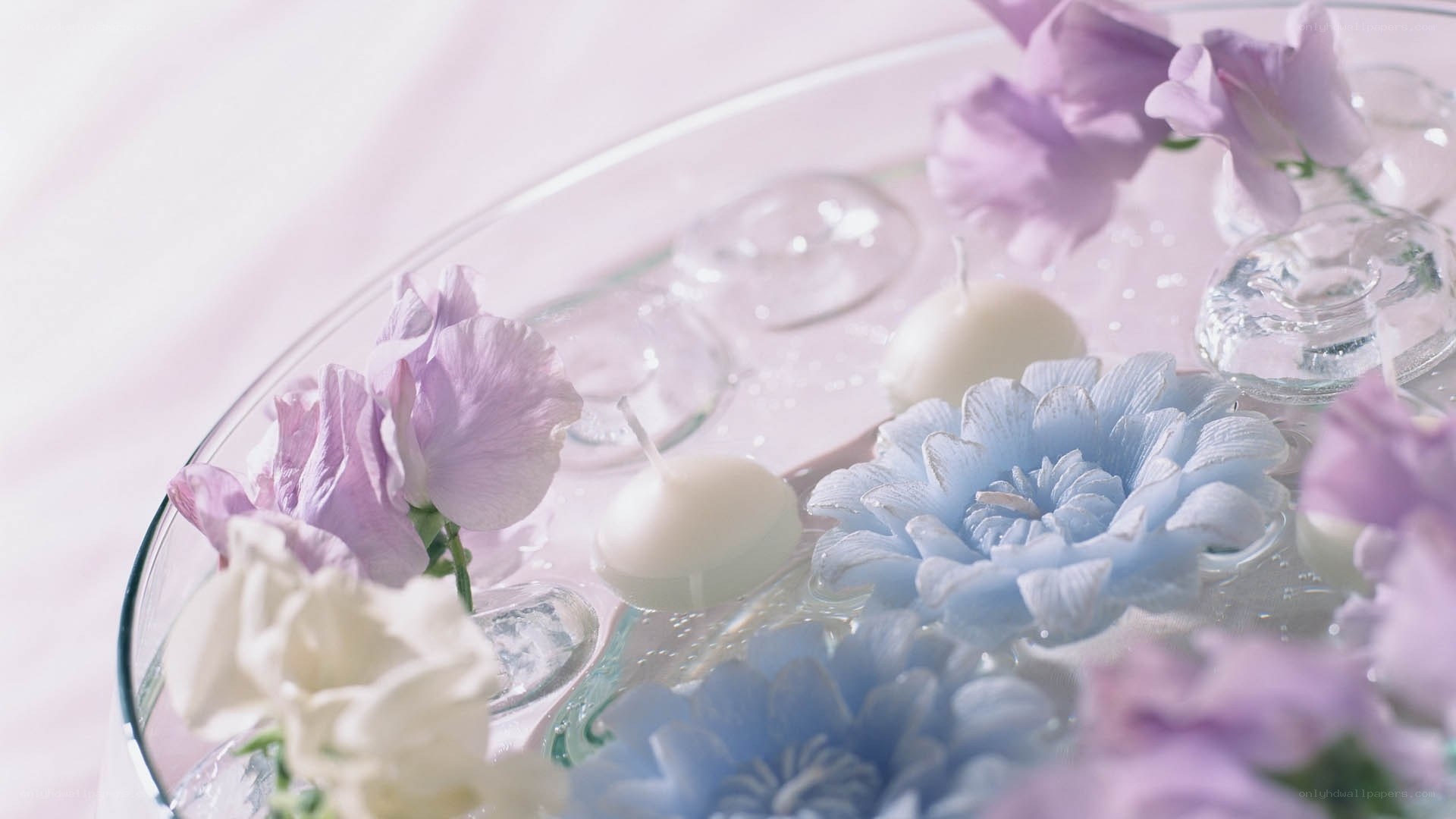 Flowers and candles in water