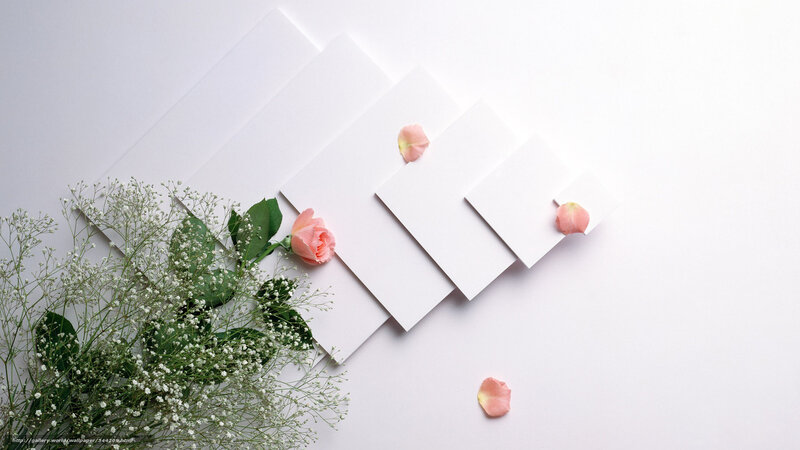 Flowers and cards on white