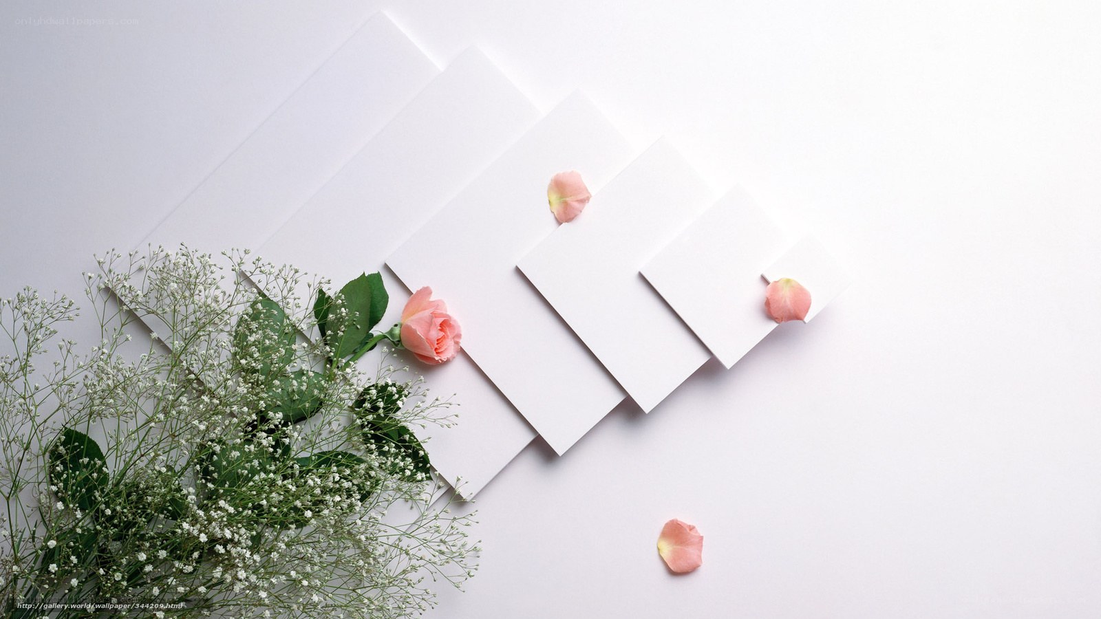 Flowers and cards on white