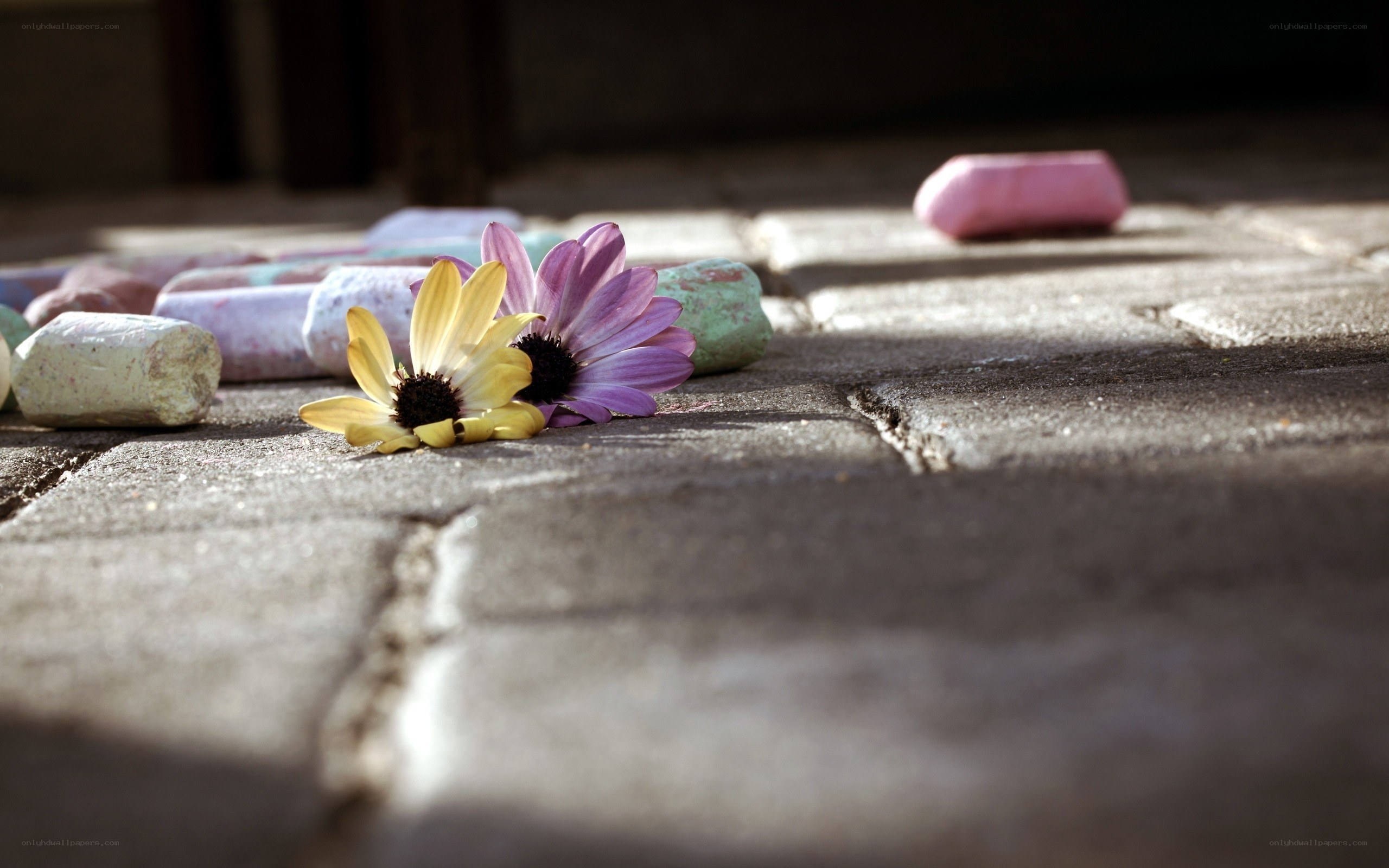 Flowers and chalk on pavement