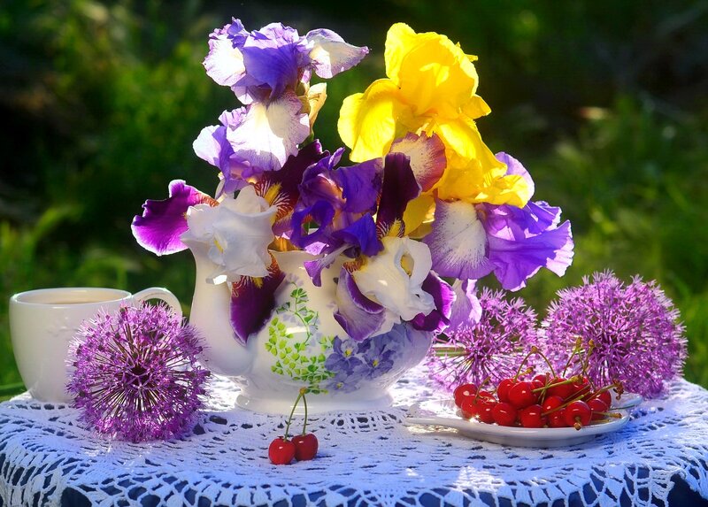 Flowers and Cherries on Table — Purple, Serene