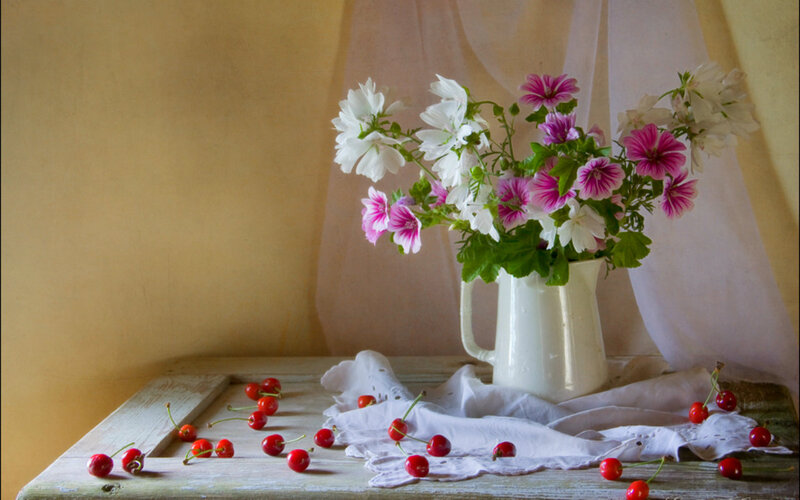 Flowers and Cherries on Table — White, Serene, Photograph