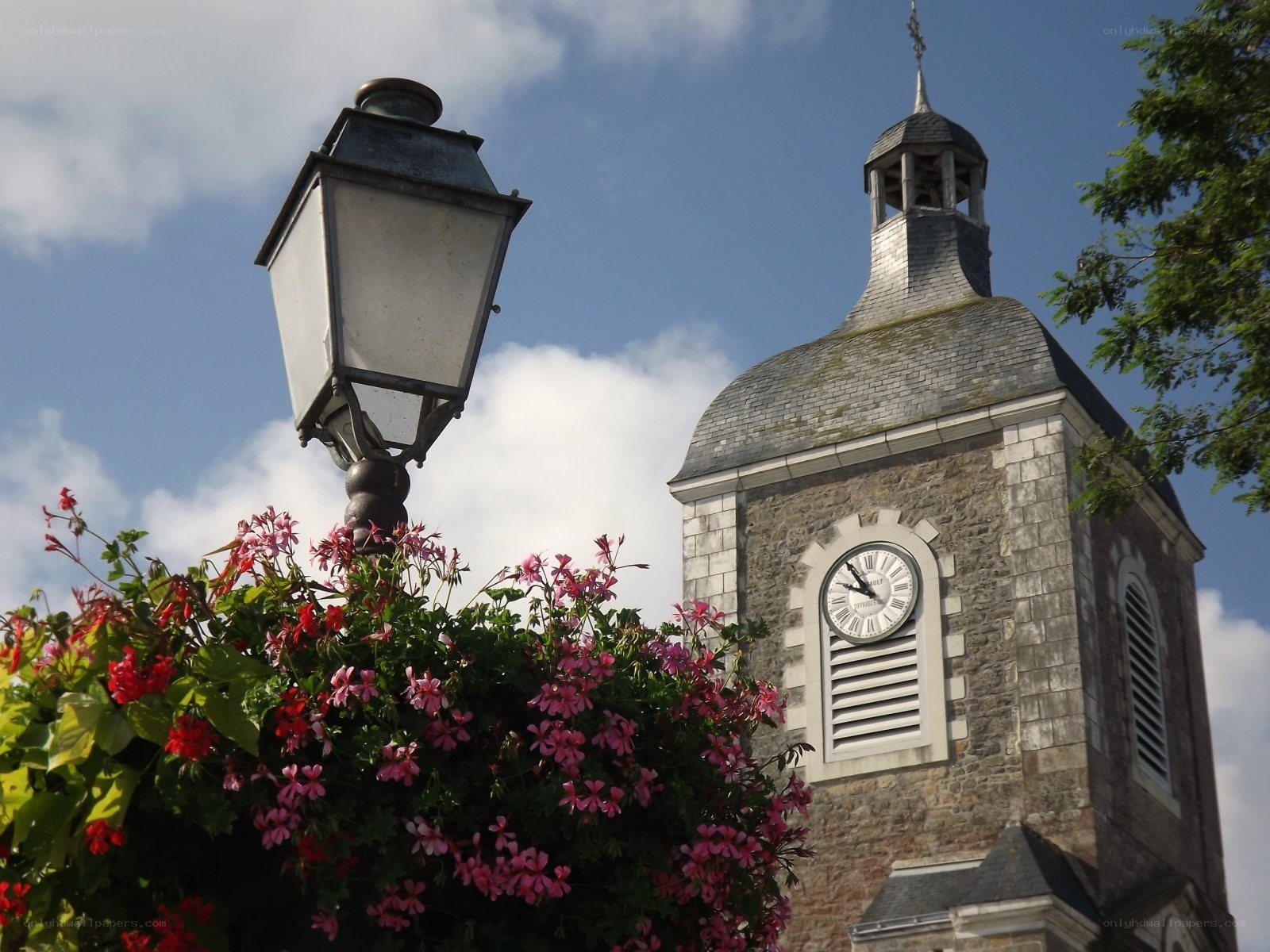Flowers and clock tower
