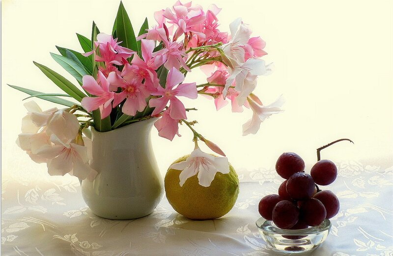 Flowers and Fruit on Table — Pink