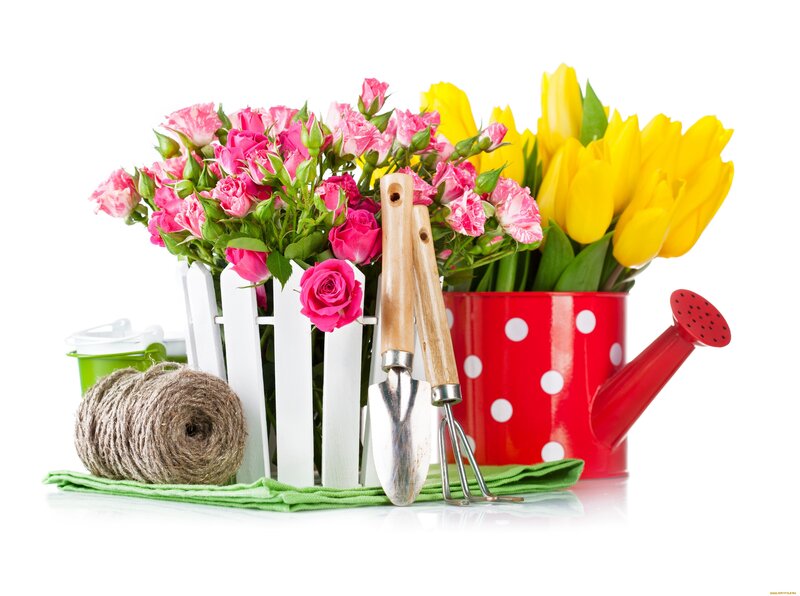 Flowers and Gardening Tools